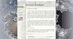 Desktop Screenshot of piechnat.pl